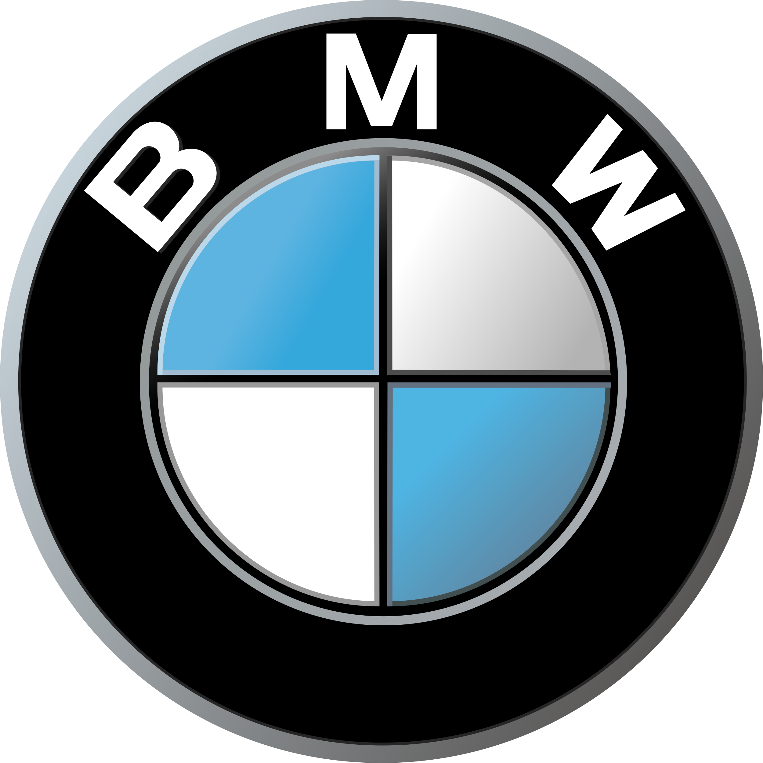 BMW logo